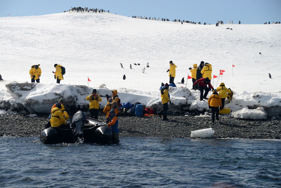 09A Penguins On Shore As We Get Ready To Disembark From Zodiac At Aitcho Barrientos Island In South Shetland Islands On Quark Expeditions Antarctica Cruise